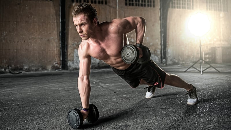 Workout Routines